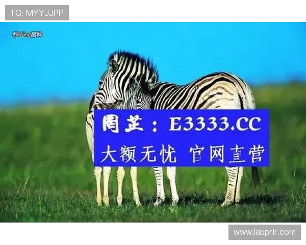 便捷的ag真人官网入口导航,帮助新手快速找到官方登录入口实现无忧游戏 便捷的ag真人官网入口导航,帮助新手快速找到官方登录入口实现无忧游戏