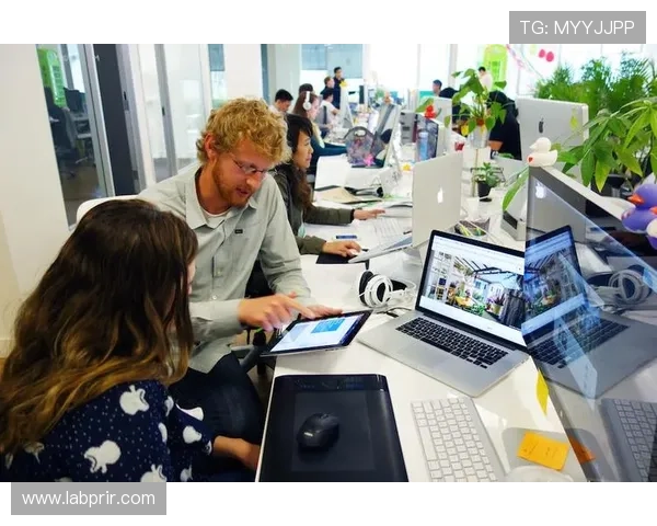 全面解析NE真人电子APP的特色玩法与用户体验提升策略