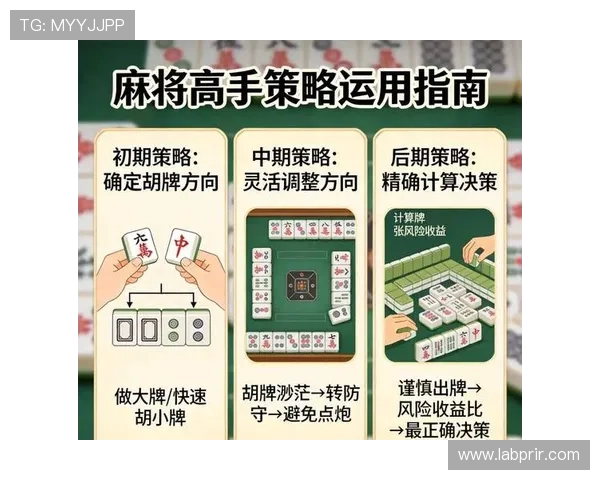 掌握百家乐赌博规则提升赢面全面策略解析指南