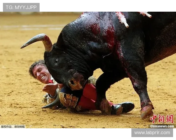 便捷手机登录的真人斗牛网站，随时随地享受刺激的斗牛乐趣