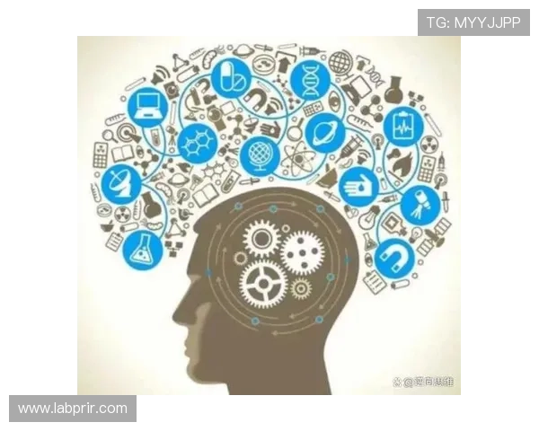 学习百家大路技巧让你在游戏中轻松应对各种复杂局势