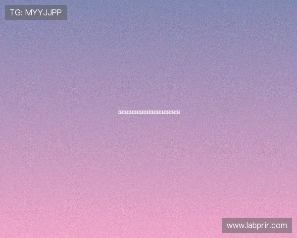 美国对巴拉圭比赛首发阵容深度分析及球队战术应对策略